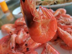 -明记海鲜大排档(巽寮湾店)