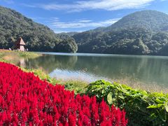 -广州市石门国家森林公园