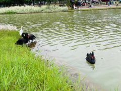 -琅岐红光湖公园