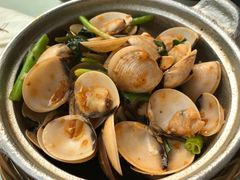-Cau Go Vietnamese Cuisine