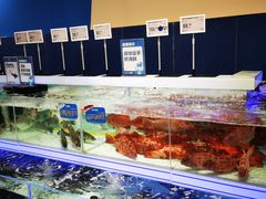 -盒马X会员店(上海森兰商都店)