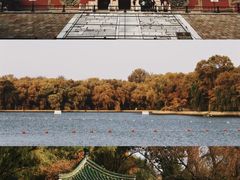 -北陵公园
