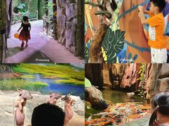 -正佳雨林生态植物园
