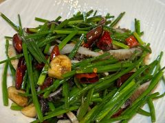 韭菜花炒毛肚-新蜀会四川豆花(五羊店)