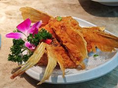 -淘米捞·米汤脆鲩鱼火锅(福田皇岗店)