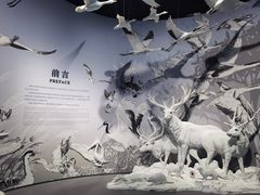 -中国湿地博物馆