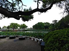-无锡蠡湖国家湿地公园-蠡园