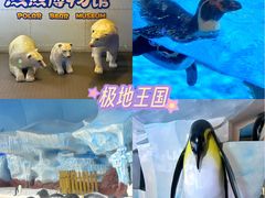 -海合安武汉极地海洋公园