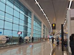 -重庆江北国际机场-T2航站楼