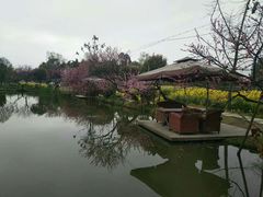 -洪湖家庭农场·团建·露营·会议