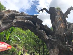-龙湾潭国家森林公园