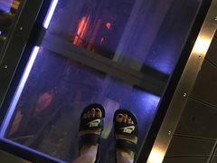 -影汇之星8字形摩天轮