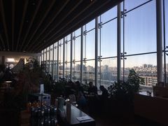 -Seesaw Coffee(朝阳大悦城店)