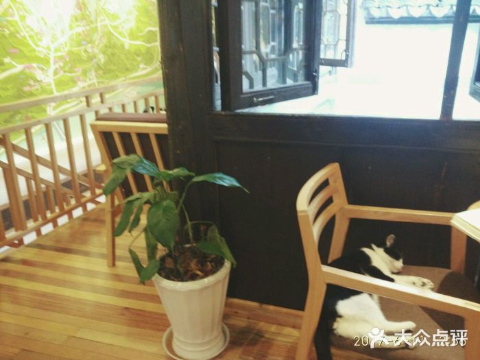 猫的天空之城概念书店(杭州南宋御街店)图片