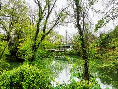 -西溪国家湿地公园