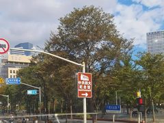 -BUS TOUR观光巴士