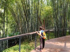 -云溪植物园