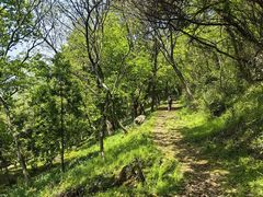 -平湖九龙山旅游度假区