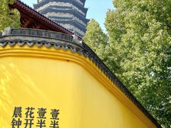 -红梅公园
