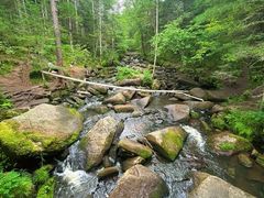 -汤旺河林海奇石景区