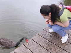 -长兴太湖图影湿地文化园