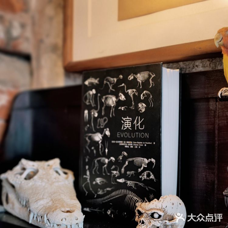 威尔德Ⅰ极致复古网红咖啡馆