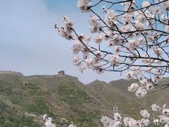 -居庸关长城