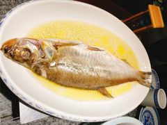 鸡汁长江白鱼-南京大牌档(青岛万象城店)