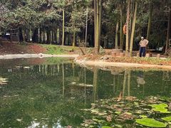 -昆明植物园