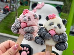 -成都大熊猫繁育研究基地