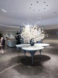 -广州美莱医疗美容医院