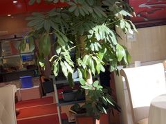 -天天渔港(杏林街店)