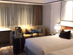 -新加坡乌节希尔顿酒店 (SG Clean)