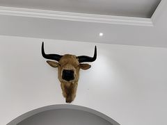 -黄牛肉馆·皖南土菜