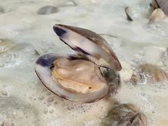 -莞翟蔴茶王(东莞记忆店)