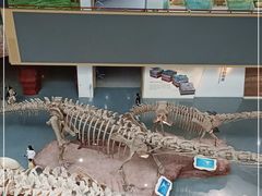 -安徽省地质博物馆