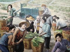 -毛泽东视察棠下旧址