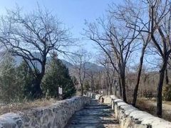 -阳台山自然风景区
