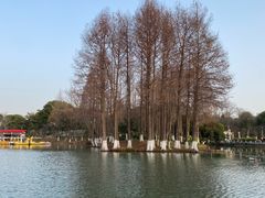 -青枫公园