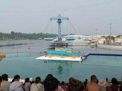 -秦皇岛乐岛海洋王国