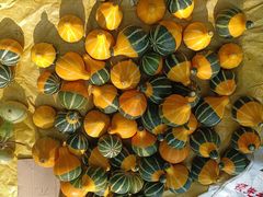 -黄椅山火山森林公园