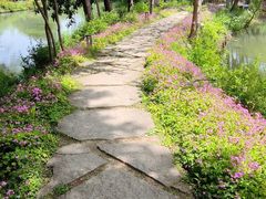 -西溪国家湿地公园