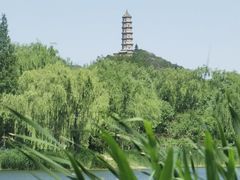-北坞公园