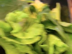 -捞王猪肚鸡火锅(昆山店)