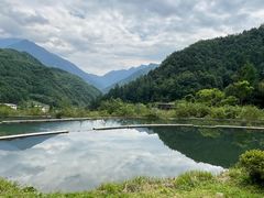 -卧龙中华大熊猫苑神树坪基地