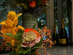 -蝶舍·MAISON PAPILLON