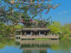 -尚湖风景区