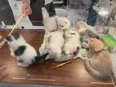 -宝龙城(杭州滨江店)