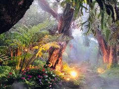 -Chom Cafe and Restaurant