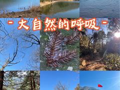 -浙西天池景区